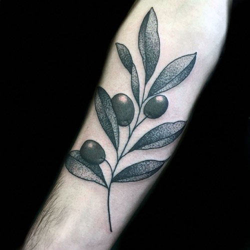 tatuaje rama de olivo 34