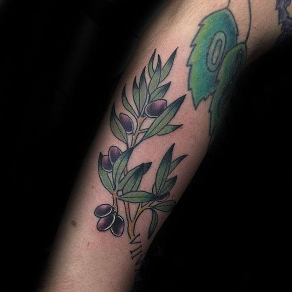 tatuaje rama de olivo 43