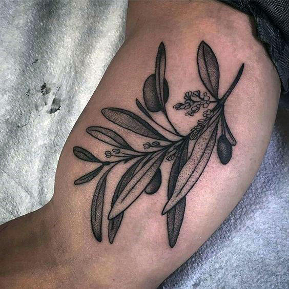 tatuaje rama de olivo 49