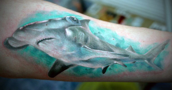 tatuaje tiburon martillo 142