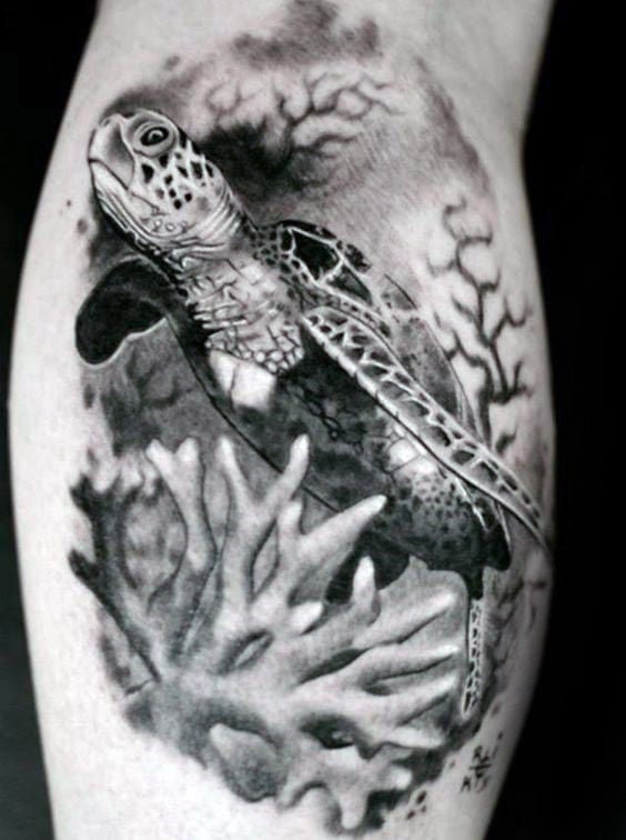 tatuaje arrecife coral 51