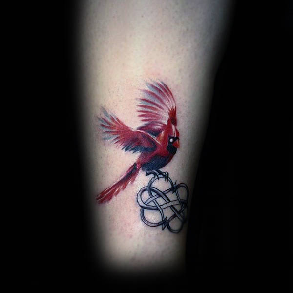 tatuaje pajaro cardenal 109