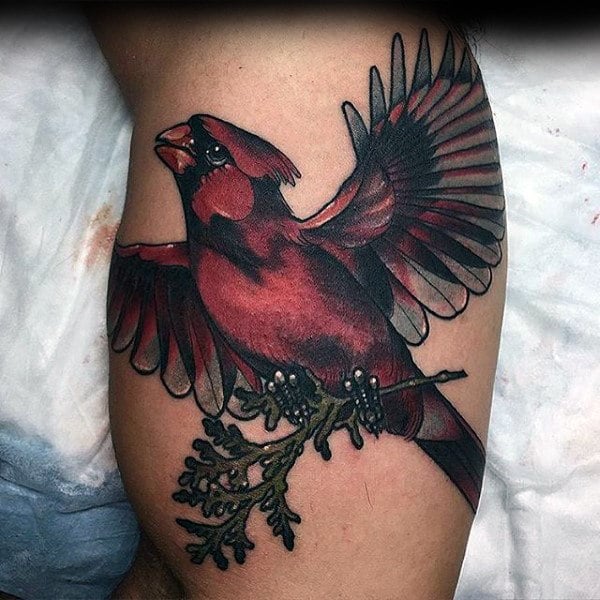 tatuaje pajaro cardenal 27