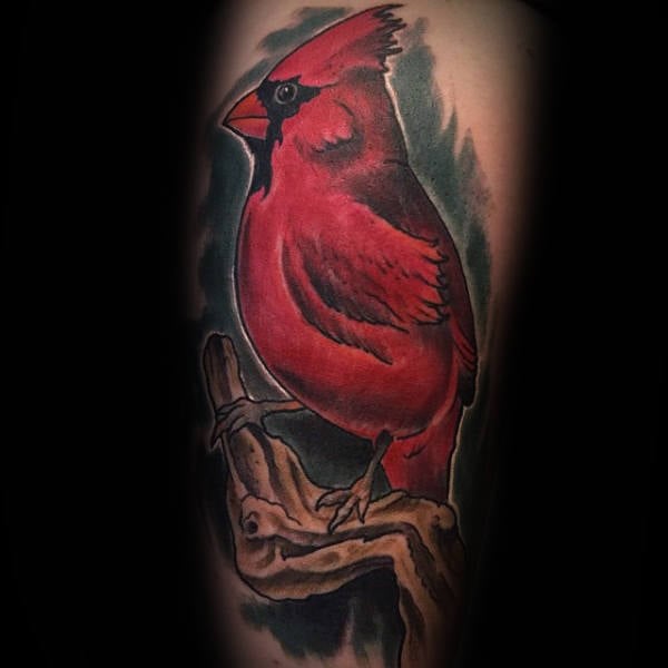tatuaje pajaro cardenal 33