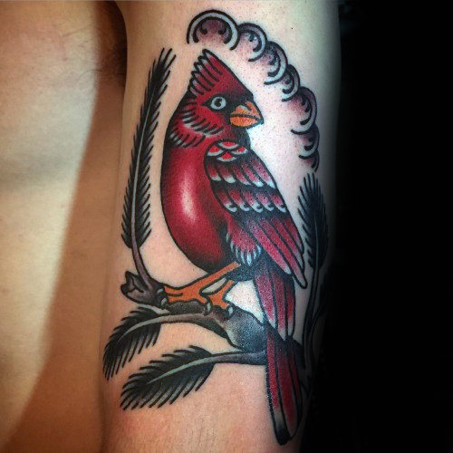 tatuaje pajaro cardenal 53