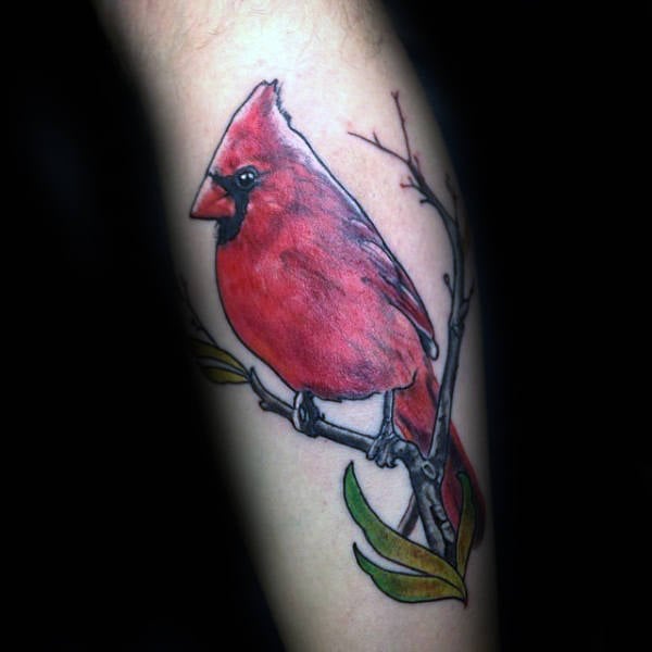 tatuaje pajaro cardenal 61