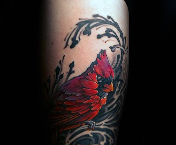 tatuaje pajaro cardenal 69