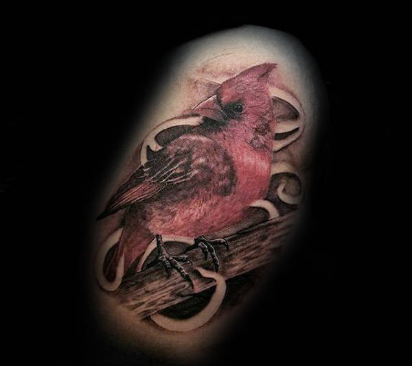 tatuaje pajaro cardenal 73