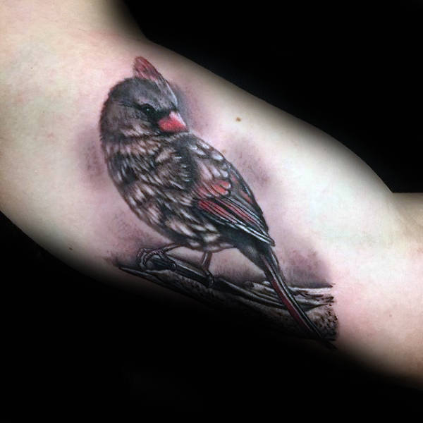tatuaje pajaro cardenal 87
