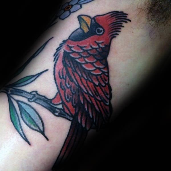 tatuaje pajaro cardenal 93
