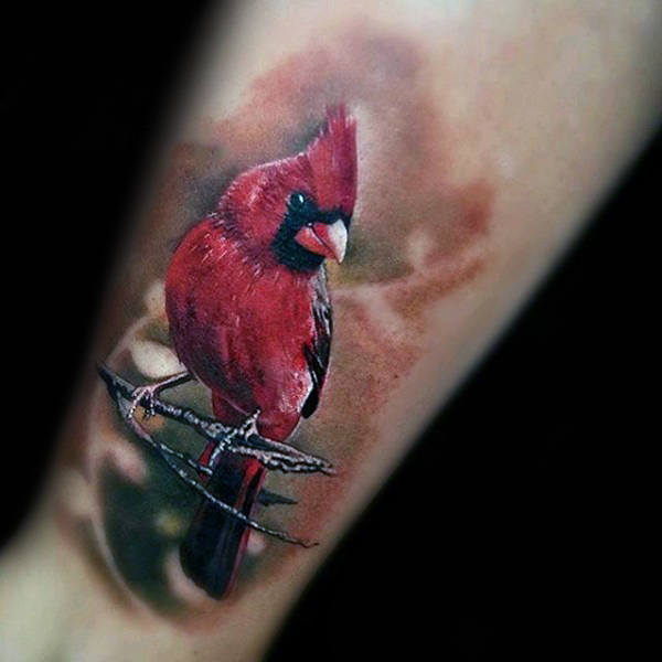 tatuaje pajaro cardenal 95
