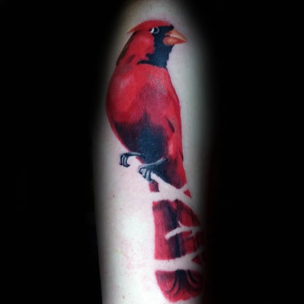 tatuaje pajaro cardenal 99