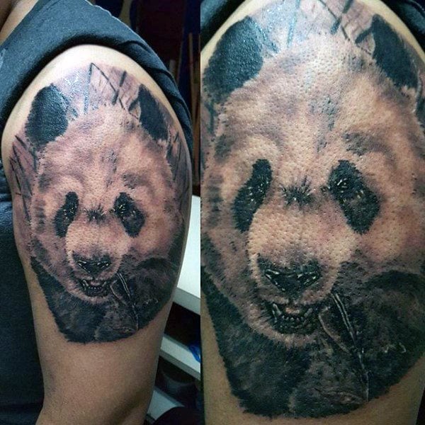 tatuaje oso panda 123