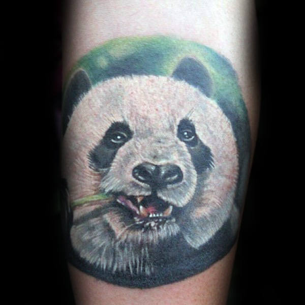 tatuaje oso panda 15