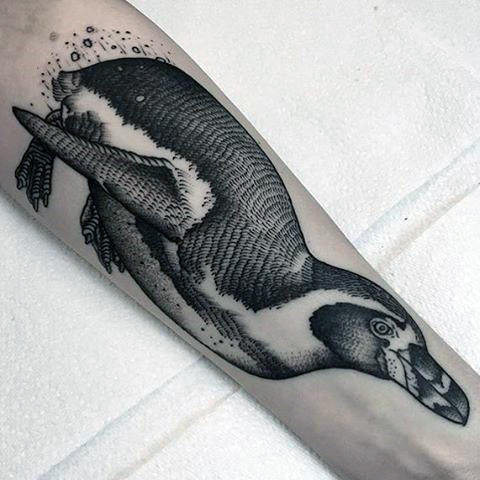 tatuaje pinguino 33