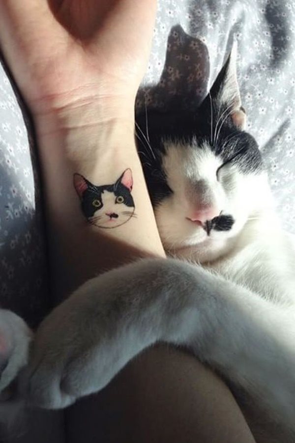 tattoo gato 29