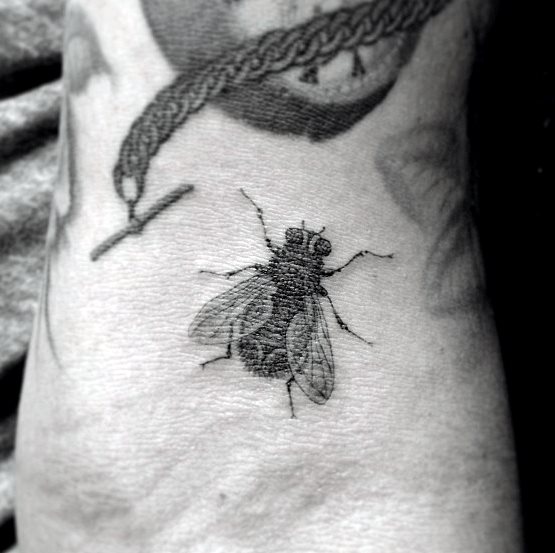 tatuaje mosca 25
