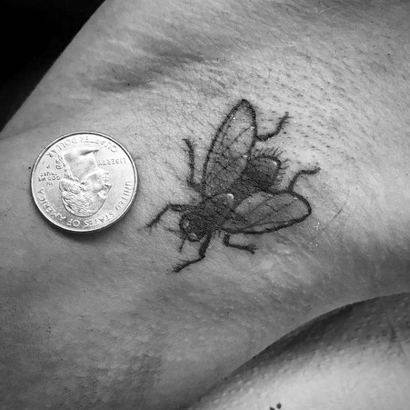 tatuaje mosca 40