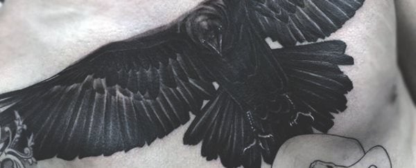 tatuaje cuervo 338