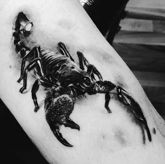 tatuaje escorpion 209