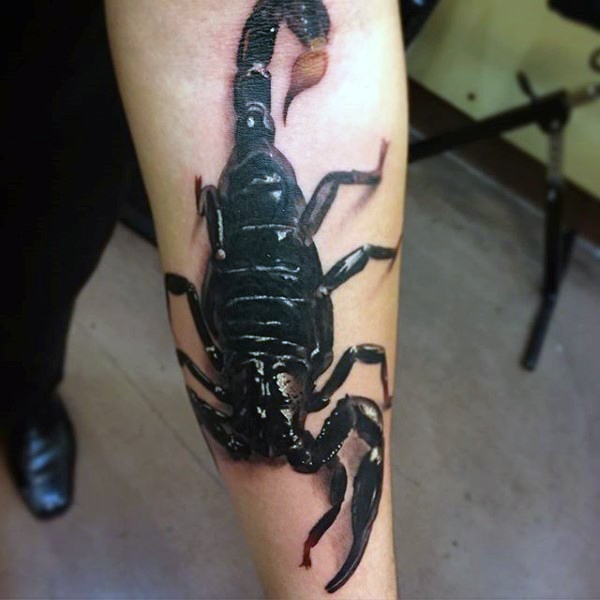 tatuaje escorpion 251