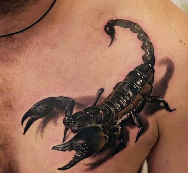 tatuaje escorpion 257