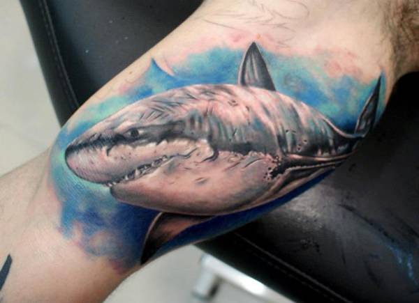 tatouage requin 77