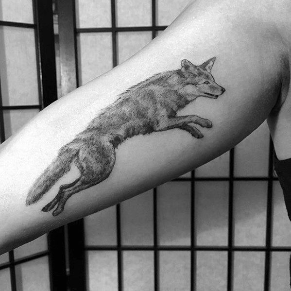 tatuaje coyote 45