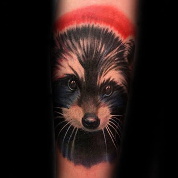 tatuaje mapache 09