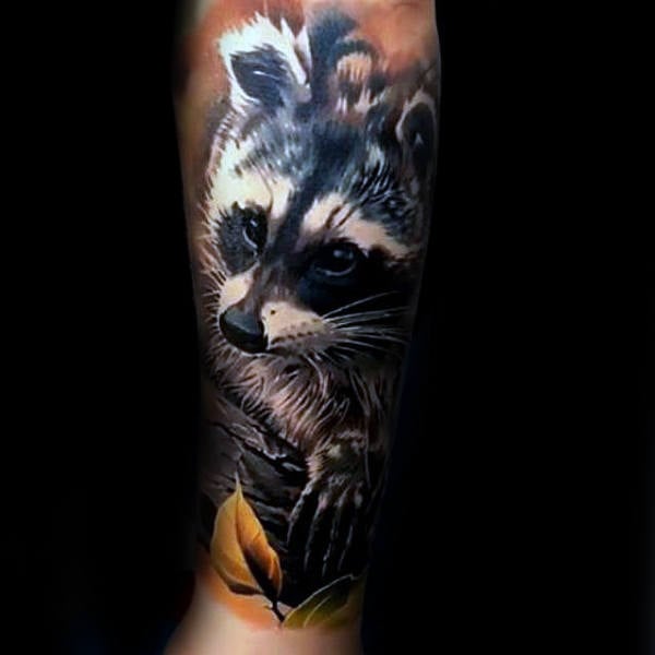 tatuaje mapache 105