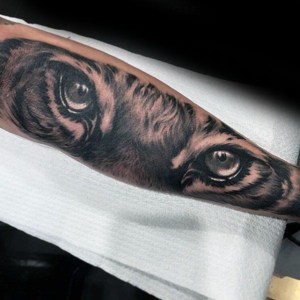 tatuaje ojos de tigre 51