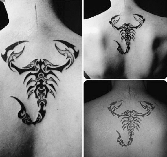 tatuaje escorpion tribal 51