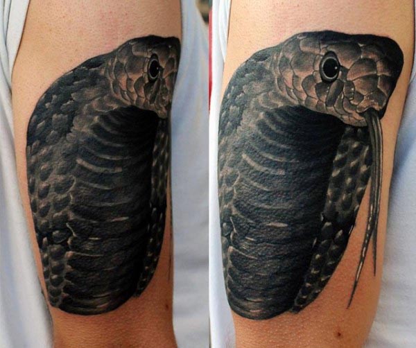 tatuaje serpiente cobra 156