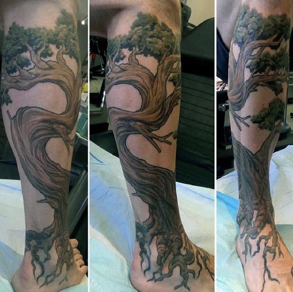 tatuaje bonsai 96