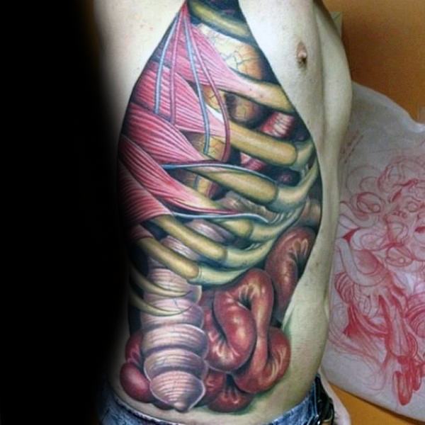 tatuaje anatomico 13