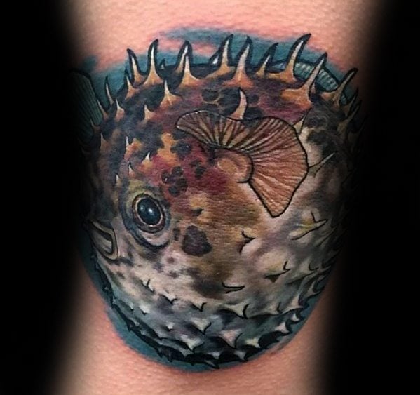 tatuaje pez globo 57