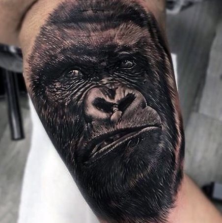 tatuaje gorila 202