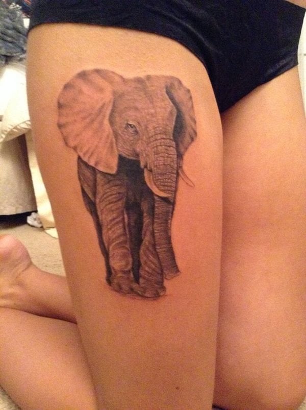 tatuaje elefante 181