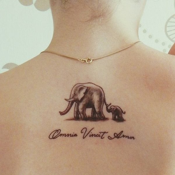 tatuaje elefante 233
