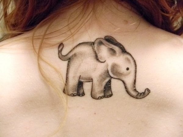 tatuaje elefante 246