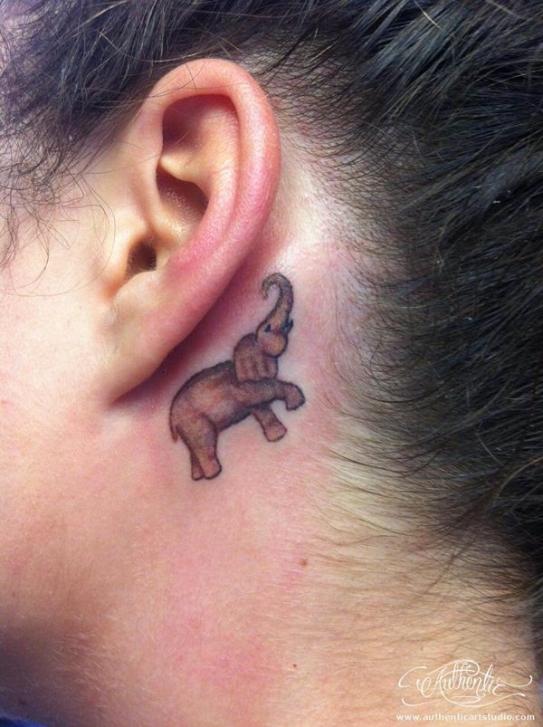 tatuaje elefante 311