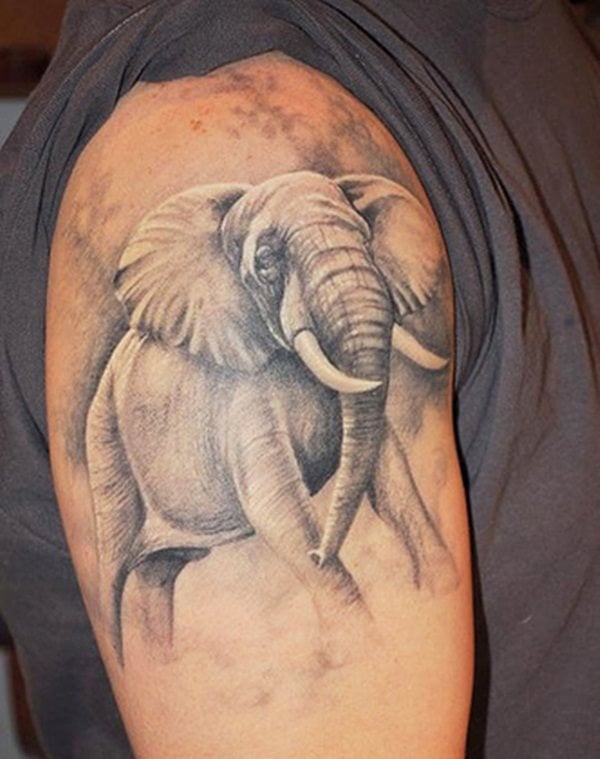 tatuaje elefante 337