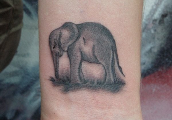 tatuaje elefante 376