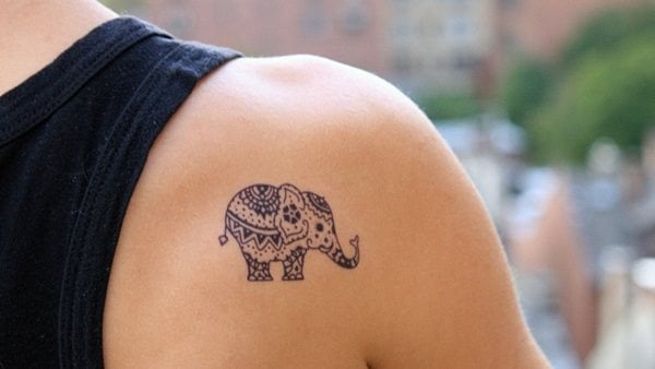 tatuaje elefante 493