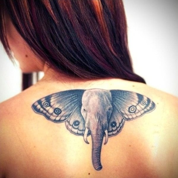 tatuaje elefante 545