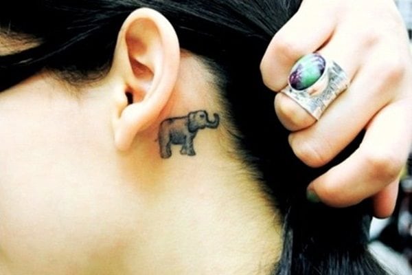 tatuaje elefante 558