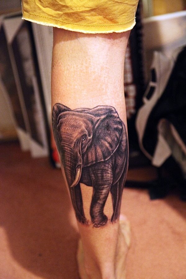 tatuaje elefante 597