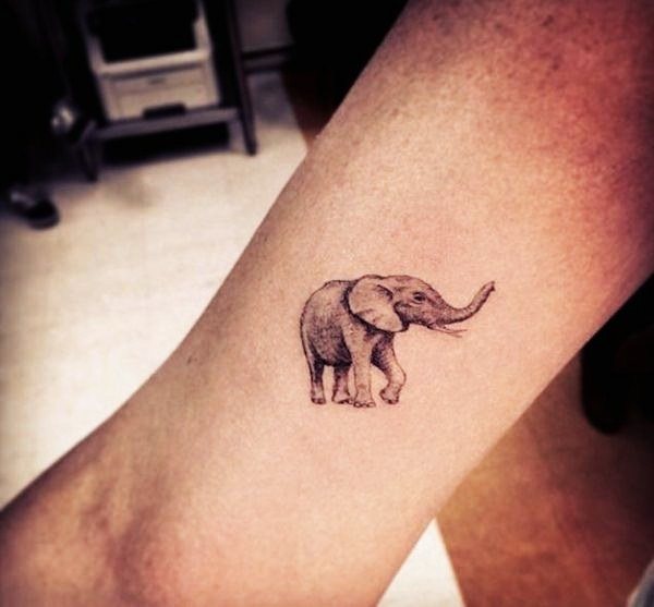 tatuaje elefante 610