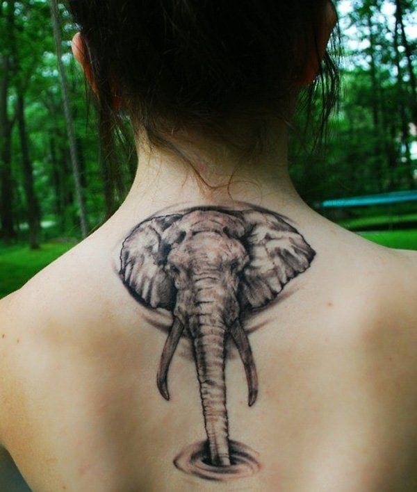 tatuaje elefante 805