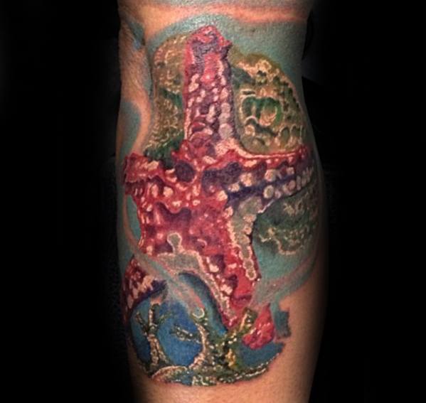 tatuaje estrella de mar 04